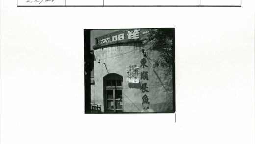 松岛路建筑窗景树灯.jpg