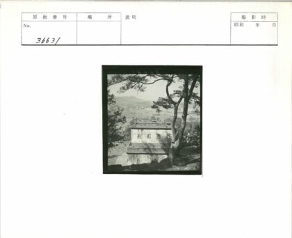 松林石屋山地风光.jpg