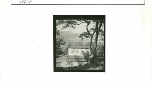 松林石屋山地风光.jpg