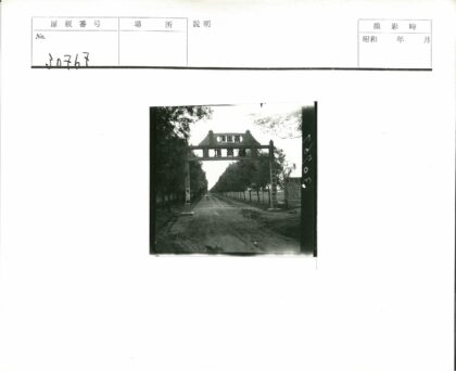 林荫土路通向华丽大门.jpg