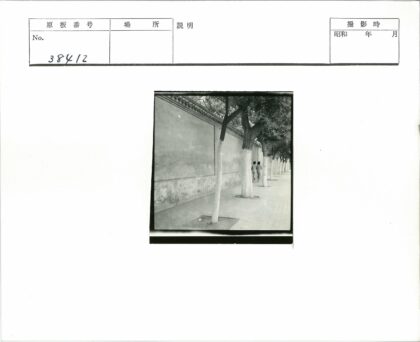 林荫墙畔两人行.jpg