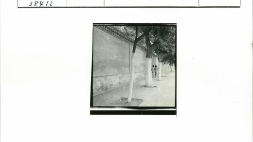 林荫墙畔两人行.jpg