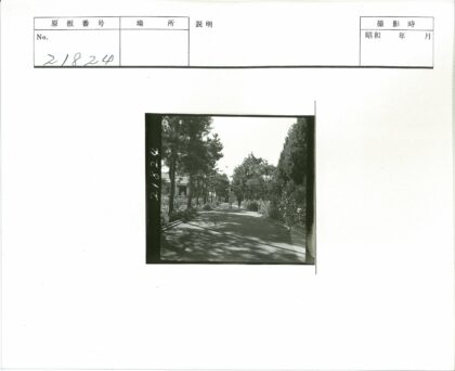 林荫小径与行人建筑风光.jpg