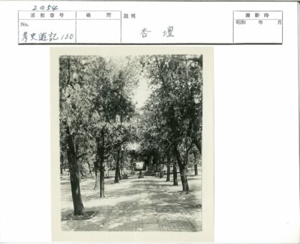林荫小径通向建筑.jpg