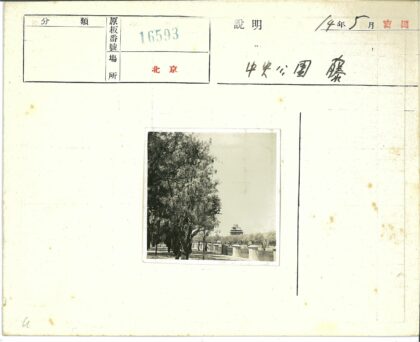 林荫小路远眺独特屋顶建筑.jpg