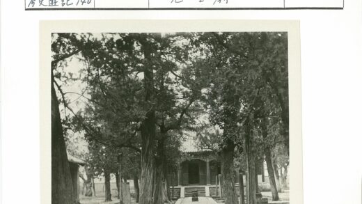 林荫小路通斜顶建筑景观.jpg