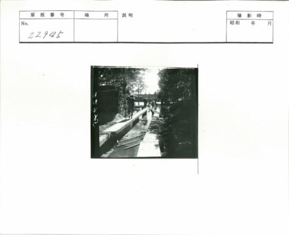 林荫水道远眺城市风光.jpg