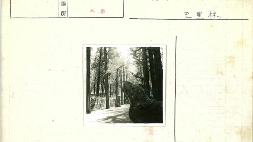 林荫石雕小路行人.jpg