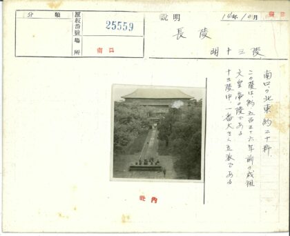林荫道旁雕像与行人.jpg