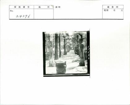 林荫雕塑石径与石壶景致.jpg