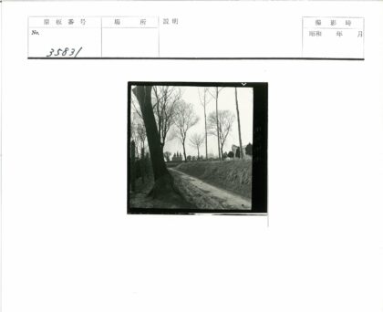 林间土路通往圆锥顶建筑.jpg