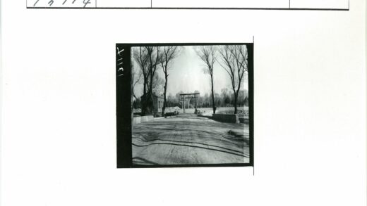 林间土路通往鸟居小桥.jpg