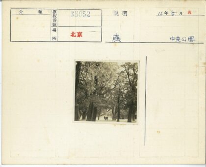 林间小路行人长凳风景.jpg