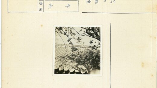 枝头花映纹理屋顶.jpg