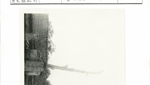 枯树与石标荒野风景.jpg
