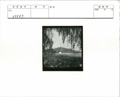 柳枝佛塔荷湖景.jpg