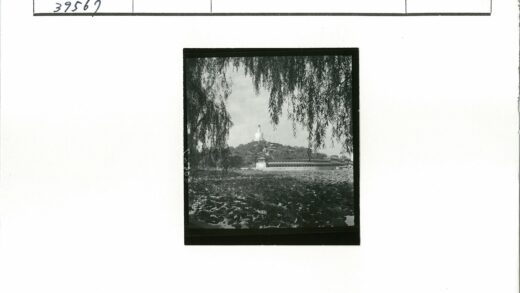 柳枝佛塔荷湖景.jpg