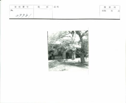 树下乘凉与隐秘建筑.jpg