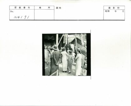 树下人群围观大象.jpg