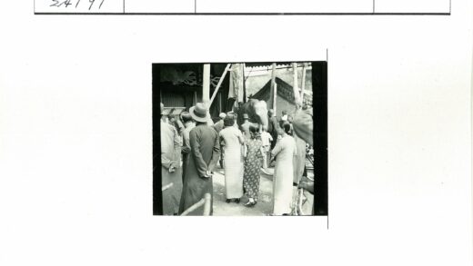 树下人群围观大象.jpg