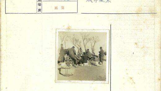 树下人群聚集运送物资.jpg