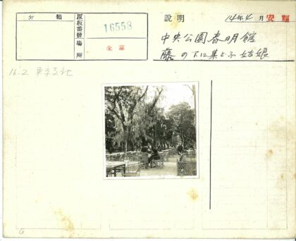 树下休闲时光.jpg