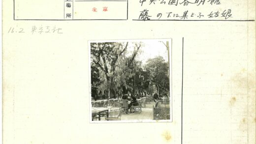 树下休闲时光.jpg