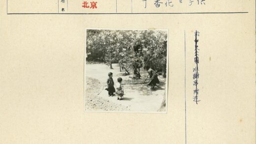 树下扫花的母子时光.jpg