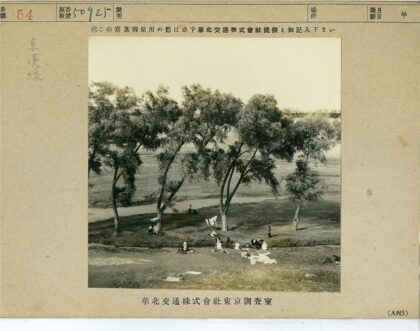树下洗衣晒衣生活场景.jpg