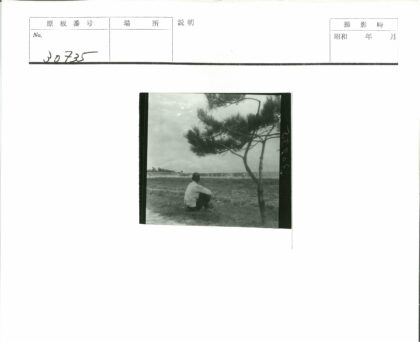 树下独坐观海岸人群.jpg