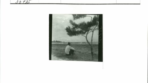 树下独坐观海岸人群.jpg