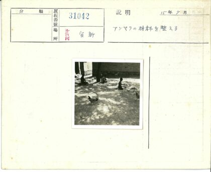 树下童趣与鸡群.jpg