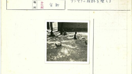 树下童趣与鸡群.jpg
