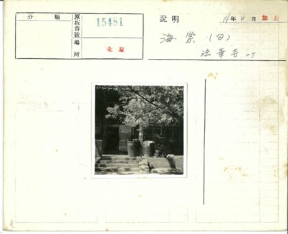 树下罐子鸟笼传统建筑景.jpg