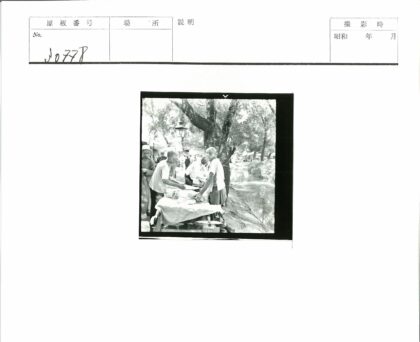 树下聚会桌边池塘绿意.jpg