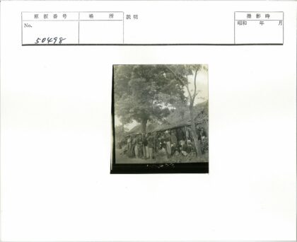 树下聚会的乡村生活.jpg