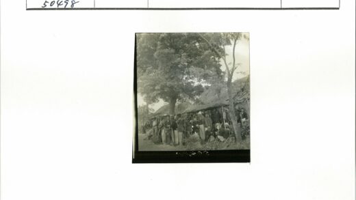树下聚会的乡村生活.jpg