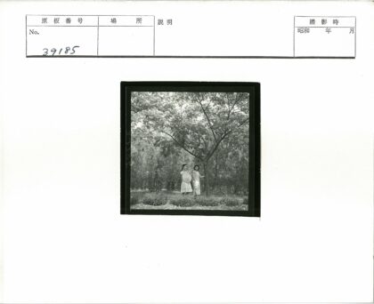 树下花园中的两位女性.jpg
