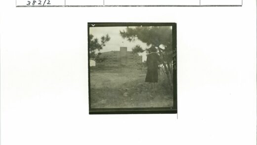树下远眺高楼晴空.jpg