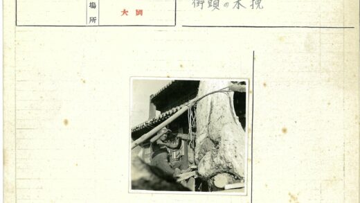 树下遮阳望古宅.jpg
