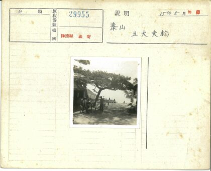 树下野餐山景.jpg