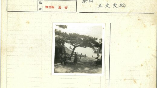 树下野餐山景.jpg