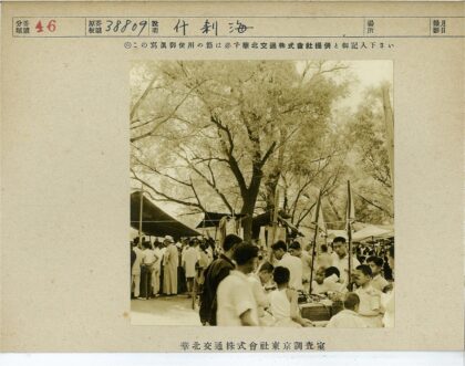 树下露天市场摊位聚集.jpg