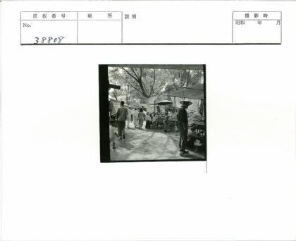 树下露天市场摊贩与行人.jpg