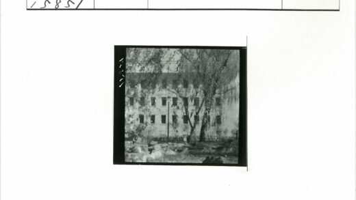 树叶间朦胧建筑旧影.jpg