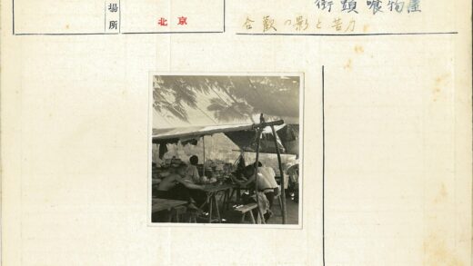 树影帐篷下的休憩时光.jpg
