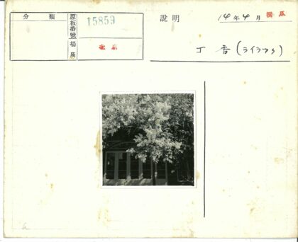 树影掩映的建筑物入口.jpg