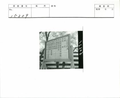 树影条纹墙公告板.jpg