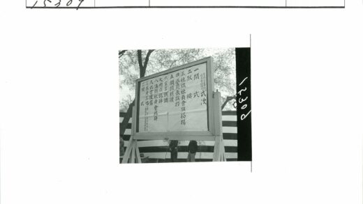 树影条纹墙公告板.jpg