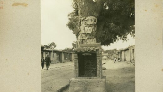 树挂标志的土路街景.jpg